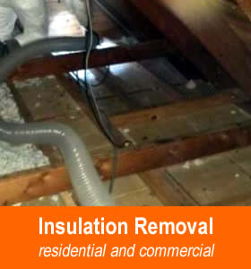Insulation Removal Services Fort Atkinson WI