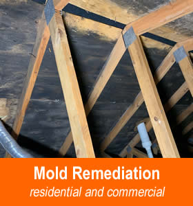 Mold Remediation and Removal Fort Atkinson WI